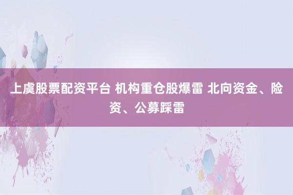 上虞股票配资平台 机构重仓股爆雷 北向资金、险资、公募踩雷