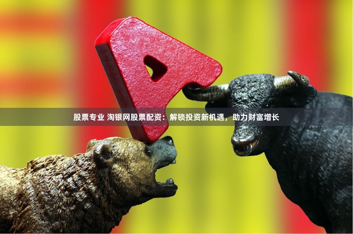 股票专业 淘银网股票配资：解锁投资新机遇，助力财富增长