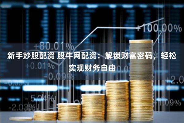 新手炒股配资 股牛网配资：解锁财富密码，轻松实现财务自由